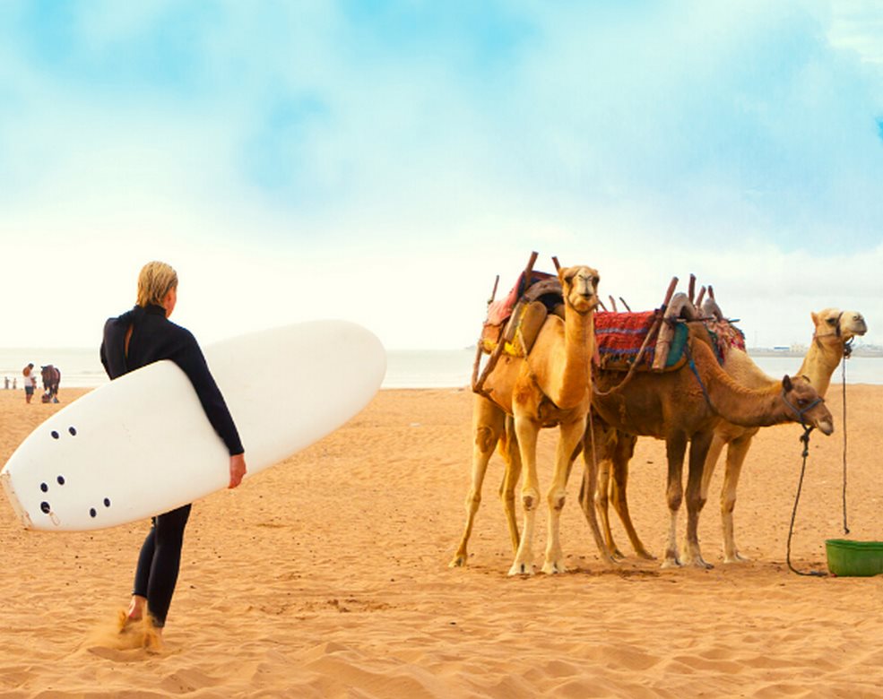Agadir Camel Ride Tour At Sunset